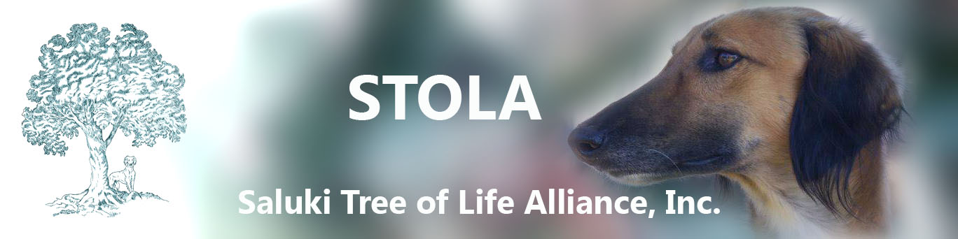 STOLA, Inc.