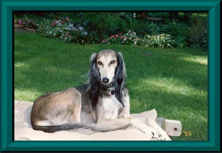 Zach in his lounge chair, 1996