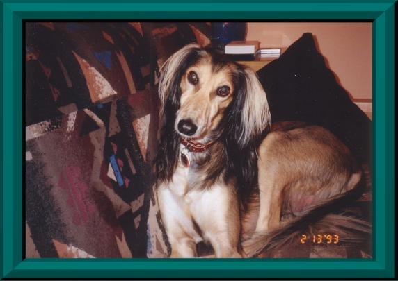 Zachery, 1993